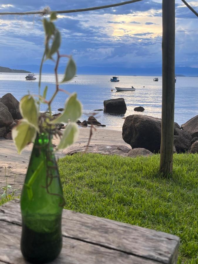 Fauna Praia do Bananal Exterior foto